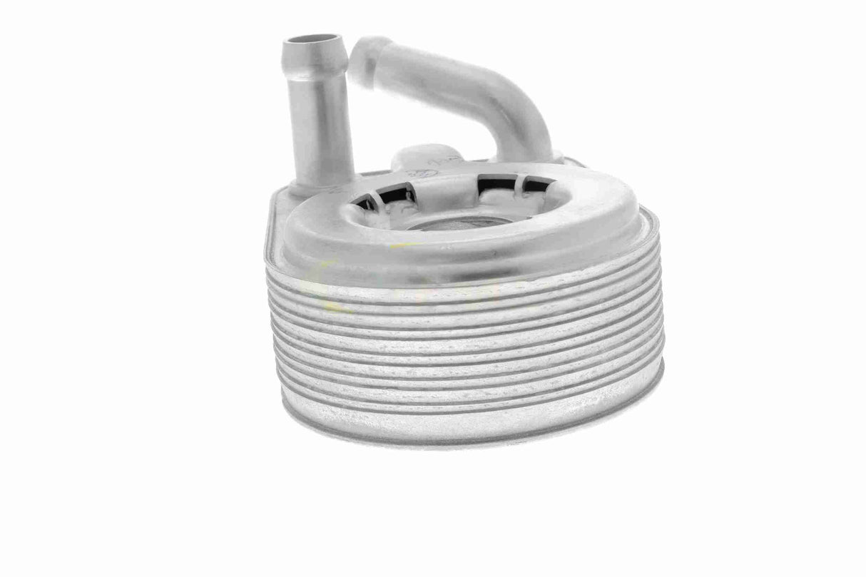 Oil Cooler, engine oil - V48-60-0013