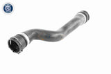 Radiator Hose - V48-0452