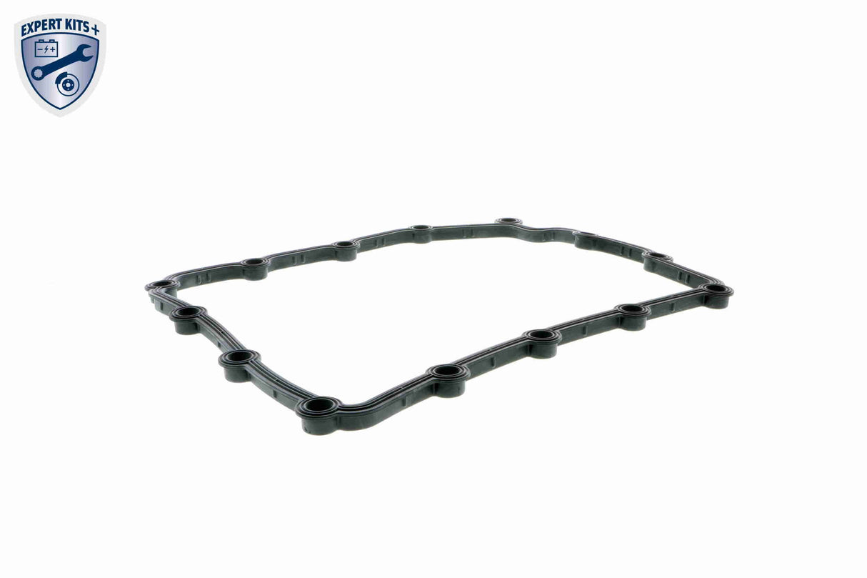 Parts Kit, automatic transmission oil change - V20-2742