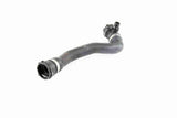 Radiator Hose - V20-2383