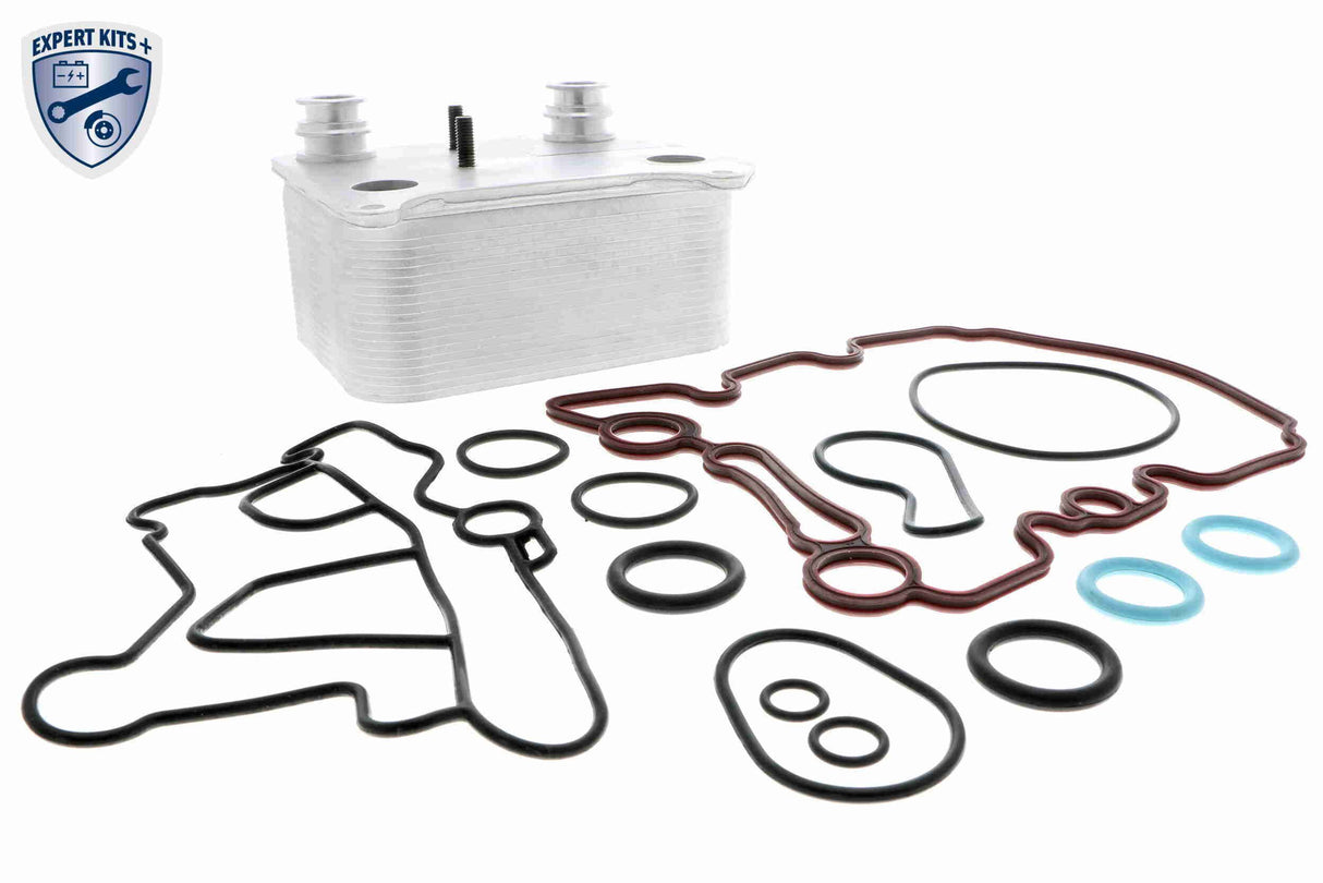 Oil Cooler, engine oil - V25-60-0038