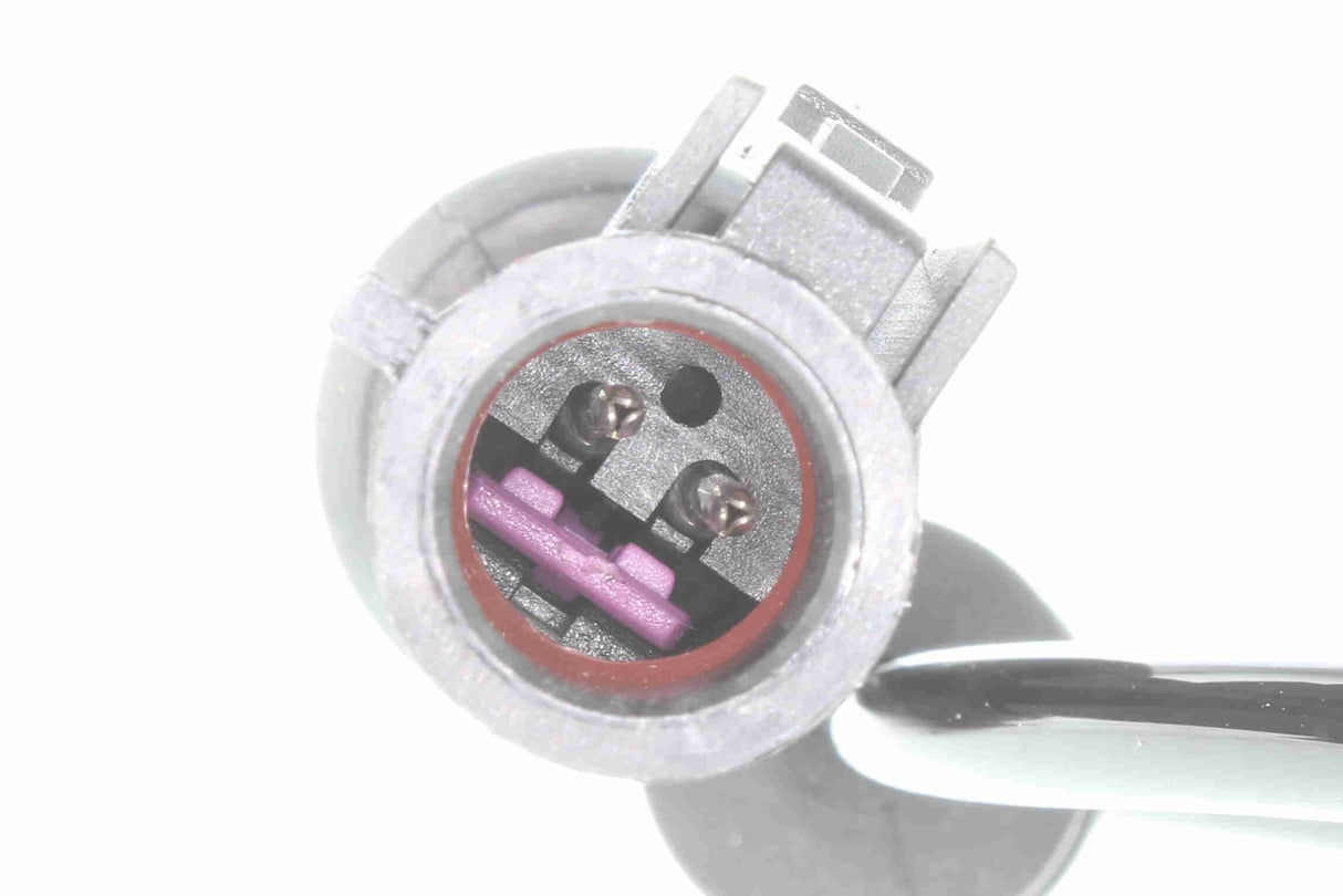 Sensor, wheel speed - V25-72-1204
