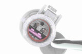 Sensor, wheel speed - V25-72-1204