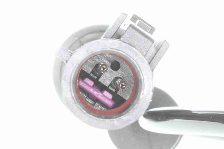 Sensor, wheel speed - V25-72-1204