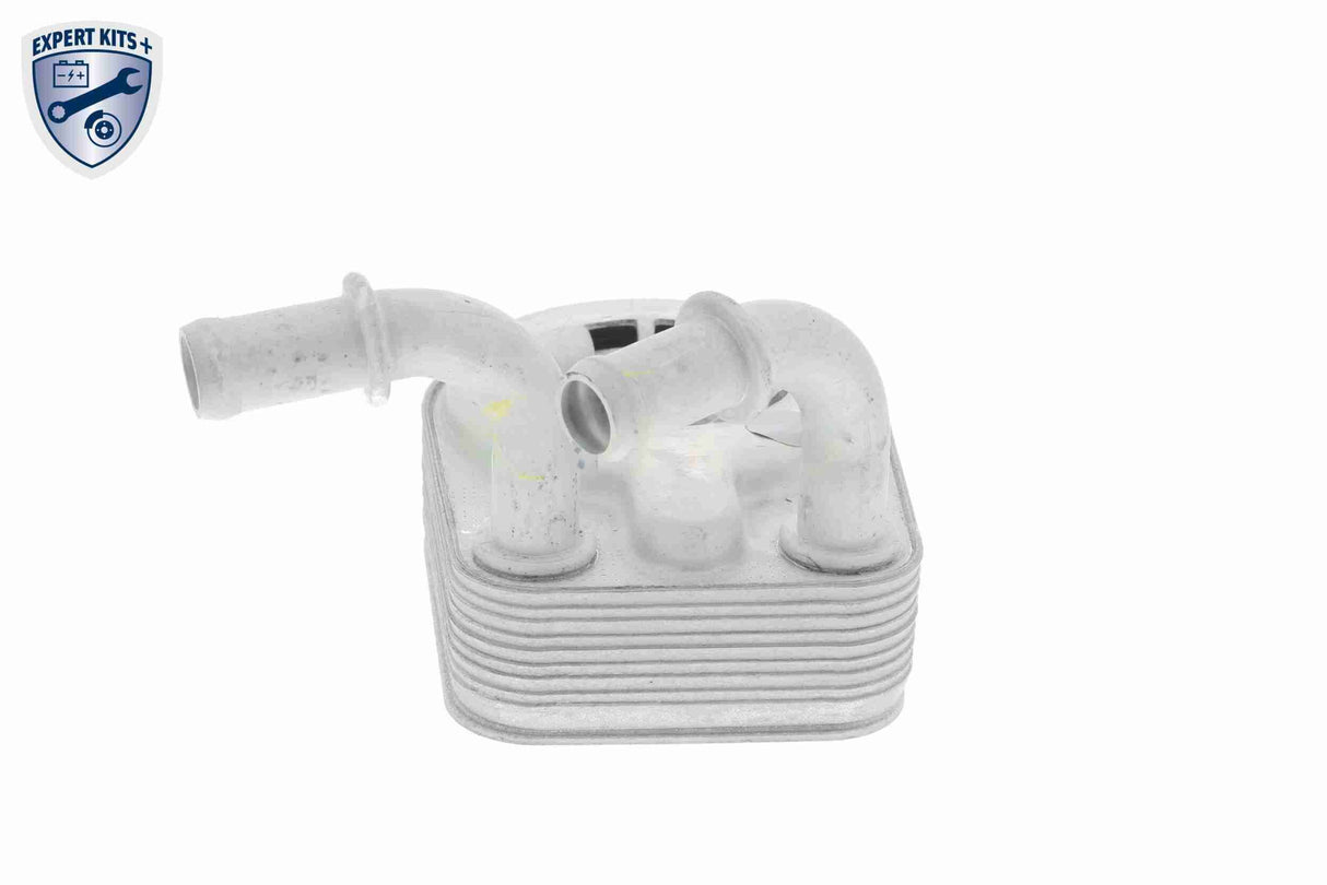 Oil Cooler, engine oil - V24-60-0013