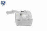 Oil Cooler, engine oil - V24-60-0013
