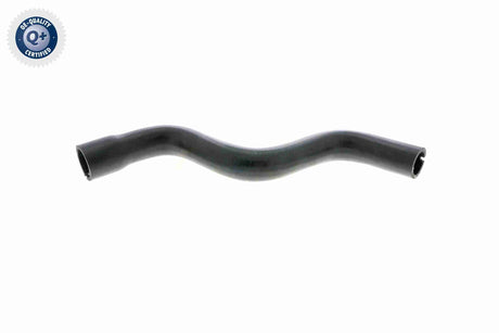 Radiator Hose - V24-0875