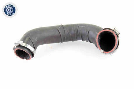 Charge Air Hose - V10-4393