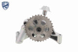 Oil Pump - V10-3724