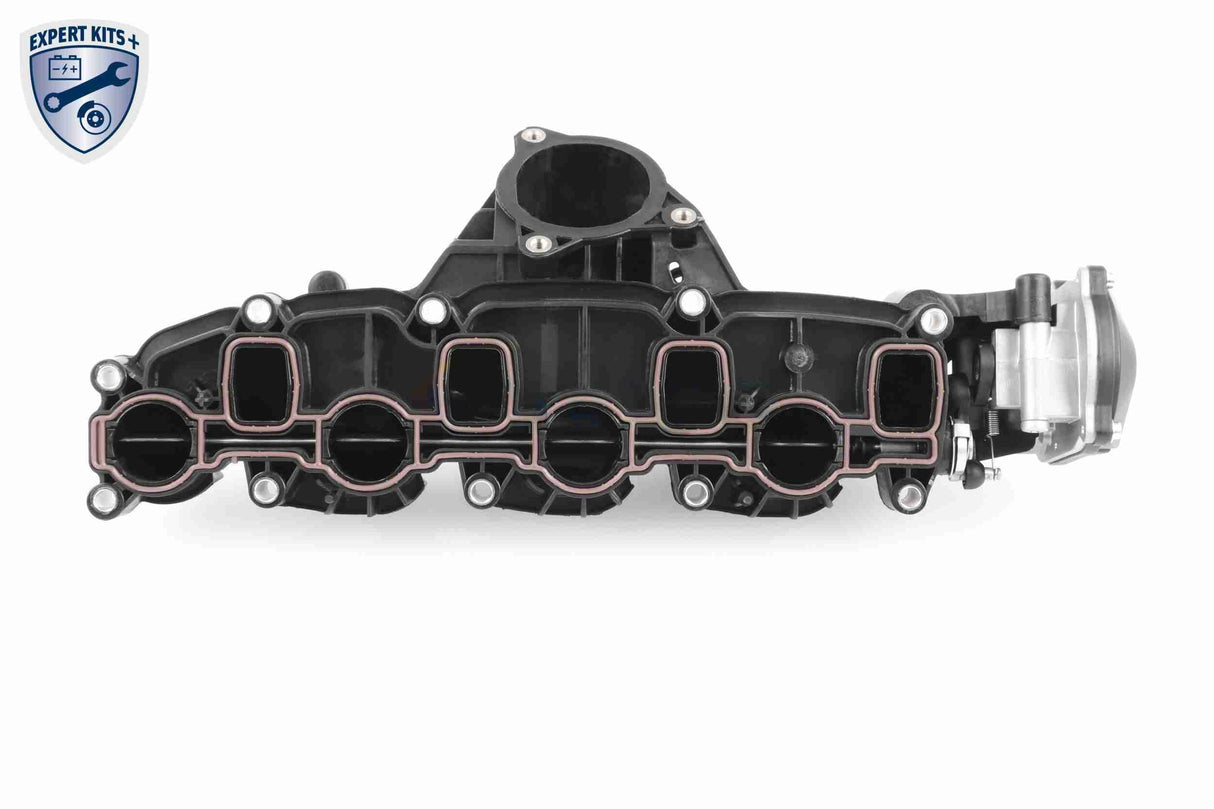 Intake Manifold Module - V10-5269