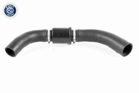 Radiator Hose - V25-1126