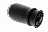 Air Suspension Strut - V20-50-0019-1