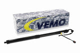 Electric Motor, tailgate - V48-55-0004