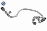 Radiator Hose - V20-1304