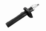 Shock Absorber - V10-6871