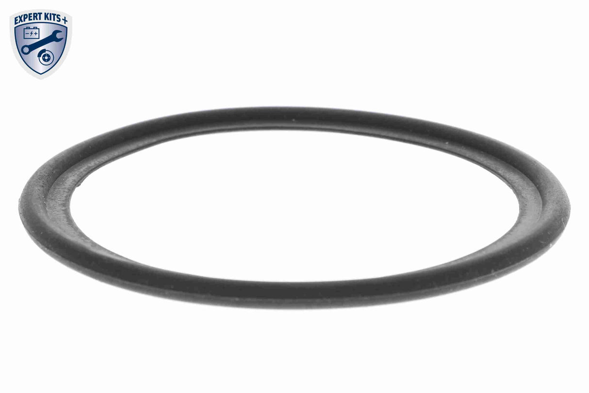 Oil Cooler, engine oil - V25-60-0040