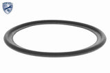 Oil Cooler, engine oil - V25-60-0040