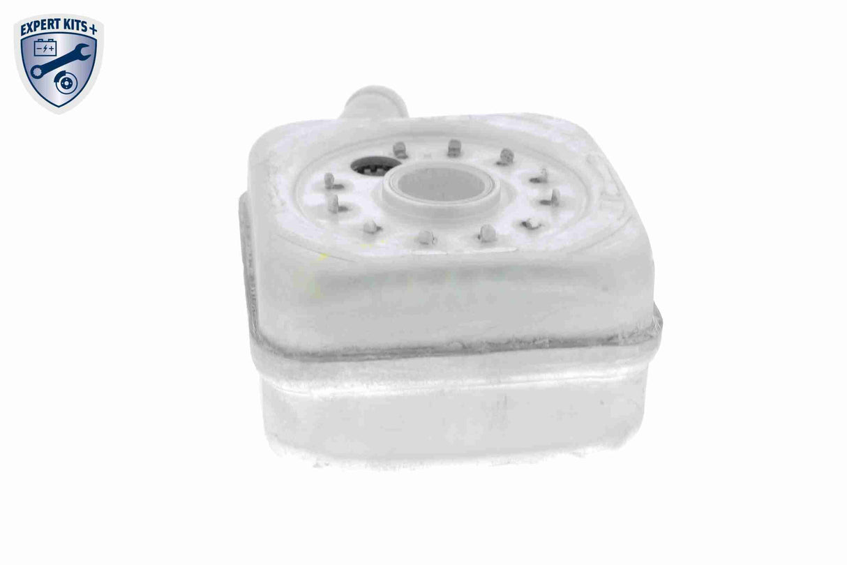 Oil Cooler, engine oil - V15-60-6011