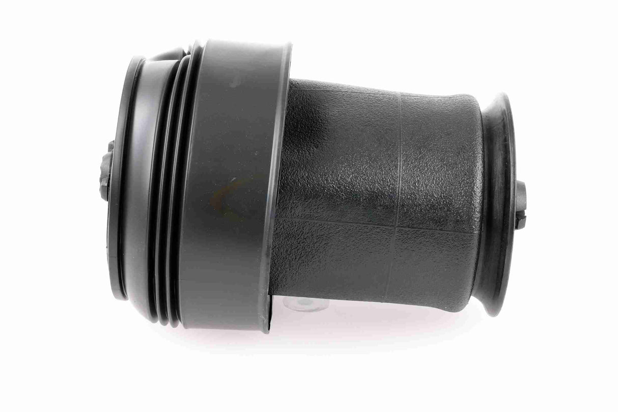 Air Suspension Strut - V20-50-0015-1