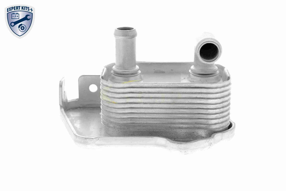 Oil Cooler, engine oil - V40-60-2110