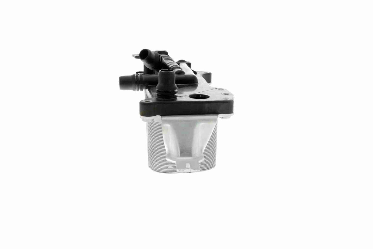 Oil Cooler, engine oil - V20-60-0058