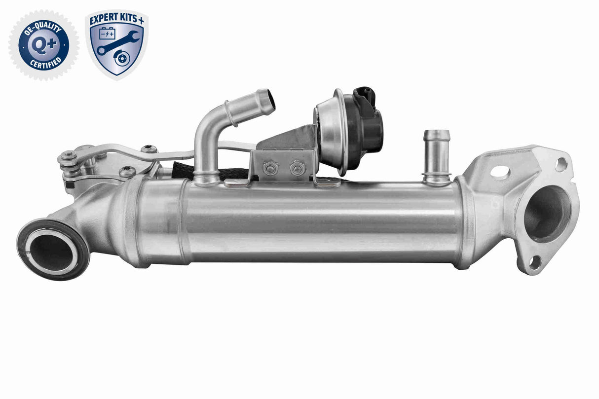 Cooler, exhaust gas recirculation - V25-63-0076