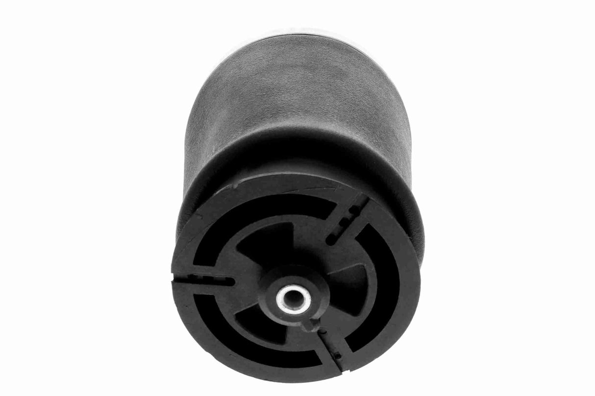 Air Suspension Strut - V20-50-0020-1