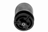 Air Suspension Strut - V20-50-0020-1