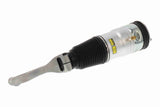 Air Suspension Strut - V58-50-0001
