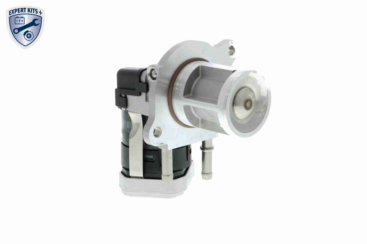Valve, exhaust gas recirculation - V30-63-0034