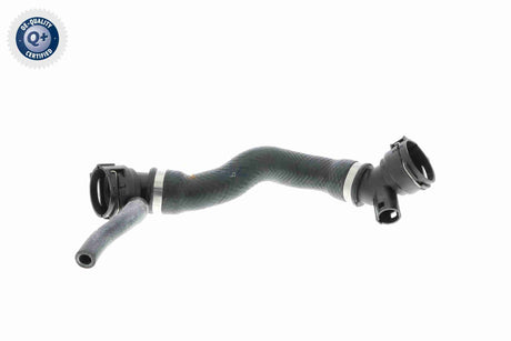 Radiator Hose - V20-2374