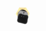 Sensor, coolant temperature - V24-72-0056