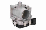 Throttle Body - V24-81-0016