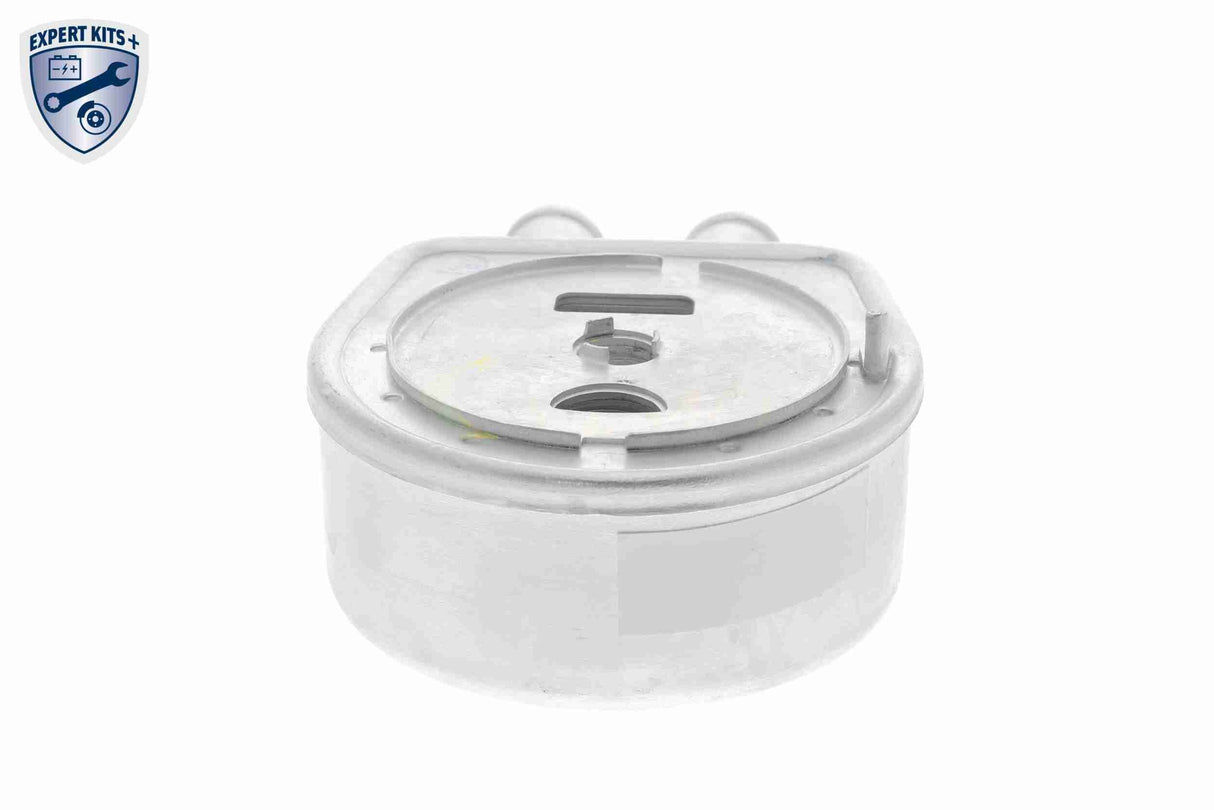 Oil Cooler, engine oil - V25-60-0047