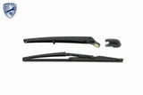 Wiper Arm, window cleaning - V24-0493