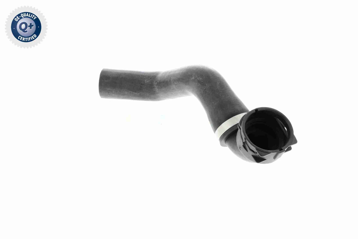 Radiator Hose - V48-0143