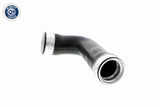 Charge Air Hose - V10-3764