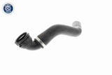 Radiator Hose - V48-0143