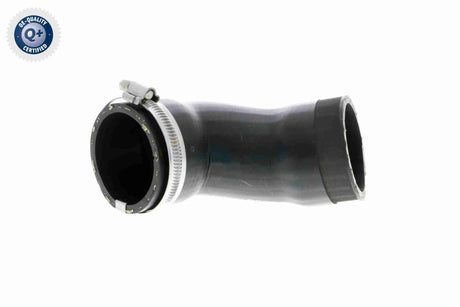 Charge Air Hose - V10-2831