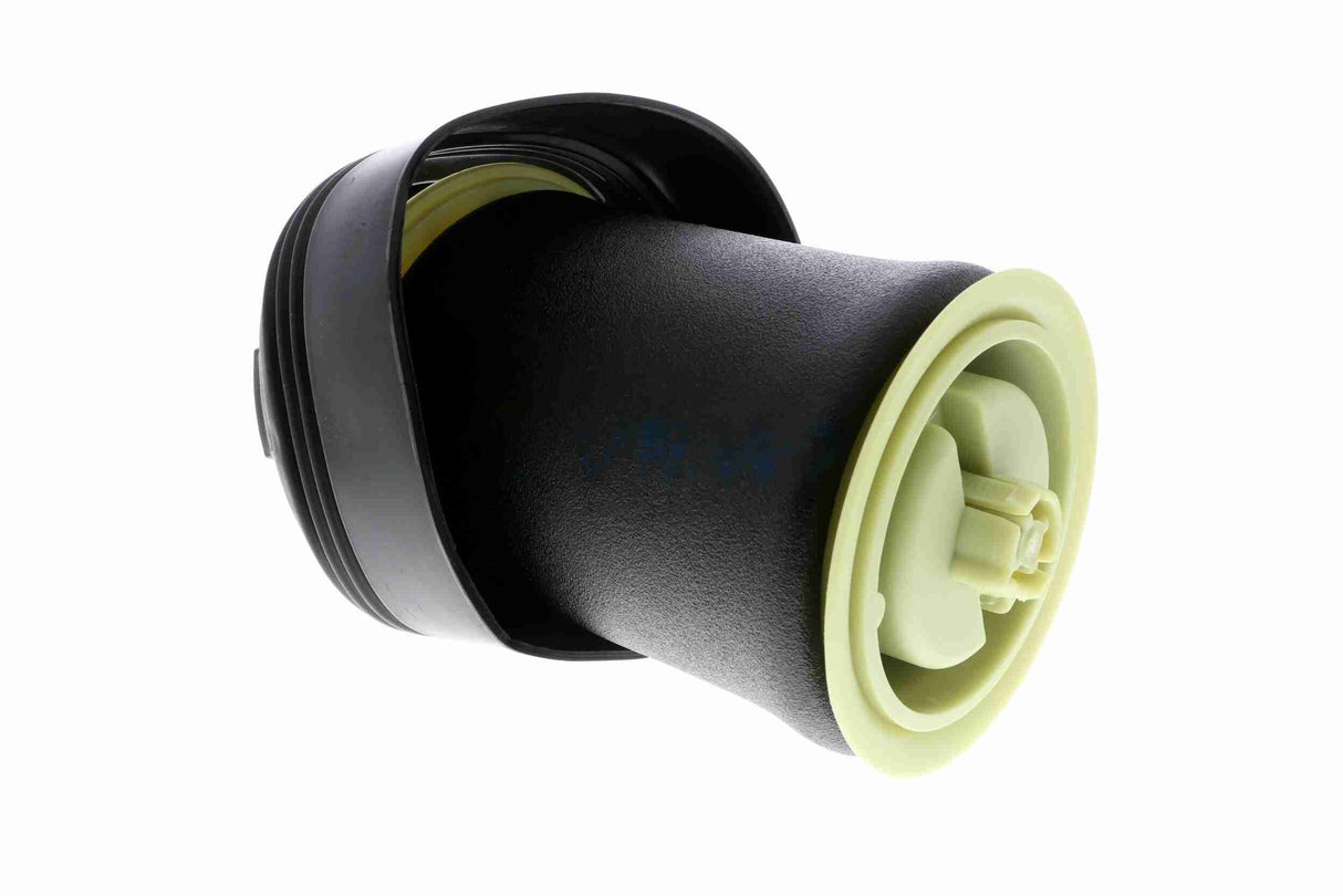 Air Suspension Strut - V20-50-0005-1