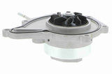 Water Pump, engine cooling - V10-50090