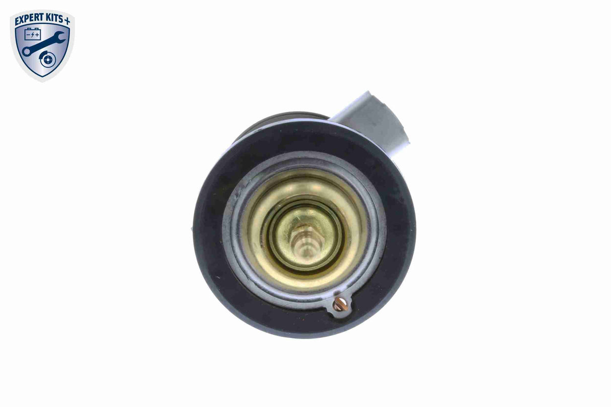 Thermostat, coolant - V30-99-0102-1