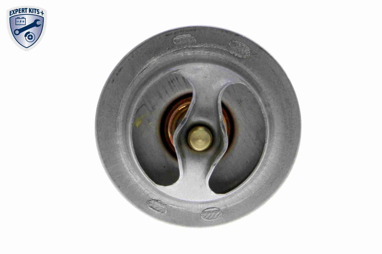 Thermostat, coolant - V25-99-1736