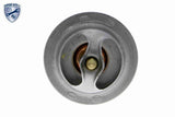 Thermostat, coolant - V25-99-1736