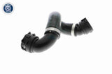Radiator Hose - V20-1780