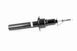 Shock Absorber - V33-0211