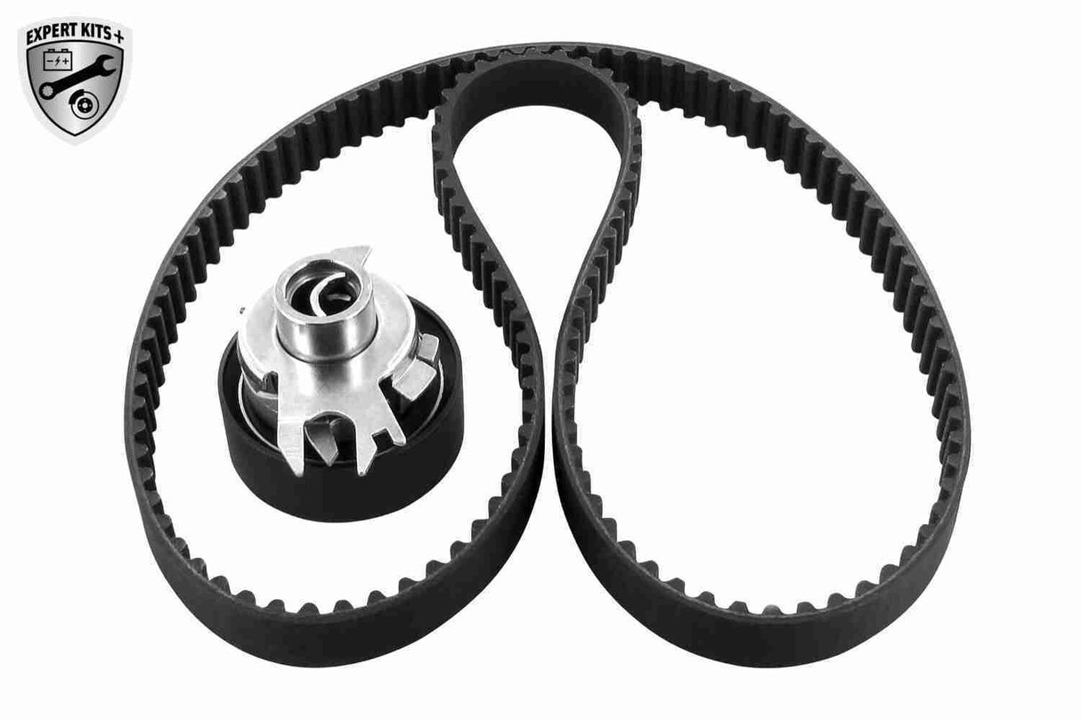 Timing Belt Kit - V10-4164