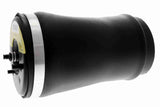 Air Suspension Strut - V20-50-0001-1