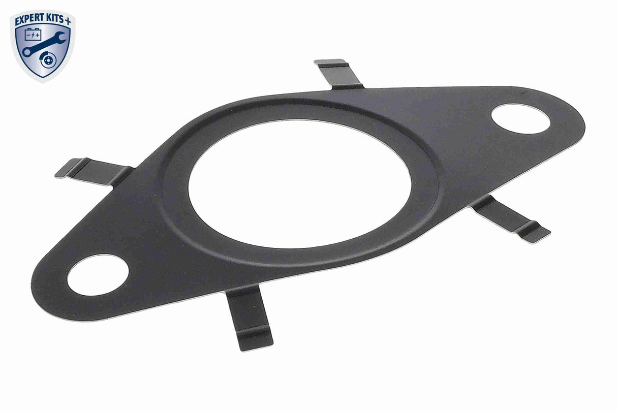 Gasket, EGR valve - V24-63-0038