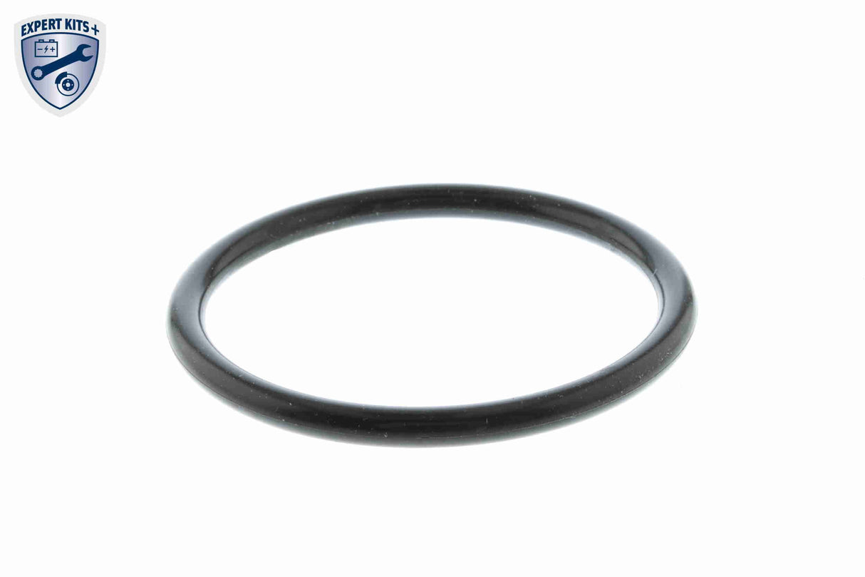 Thermostat, coolant - V15-99-2064